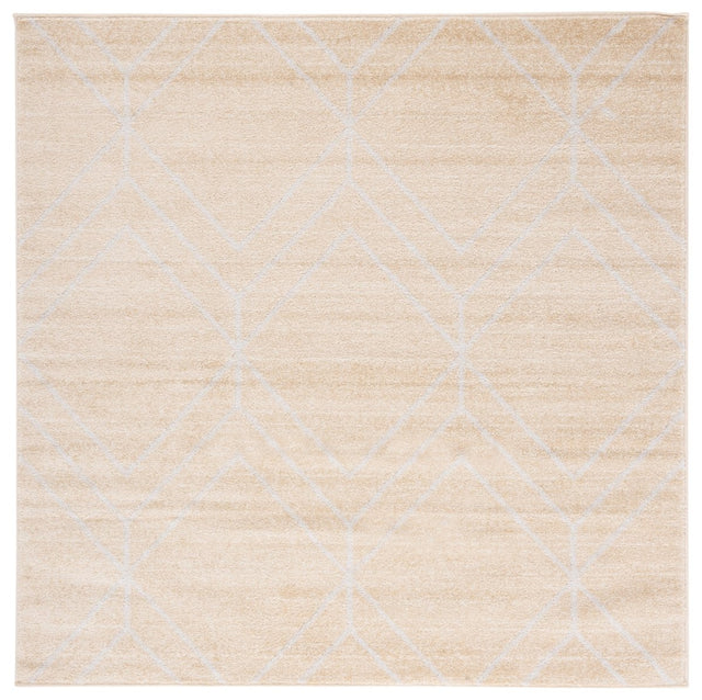 Safavieh Adirondack Adr241D Gold/Light Grey Rugs.
