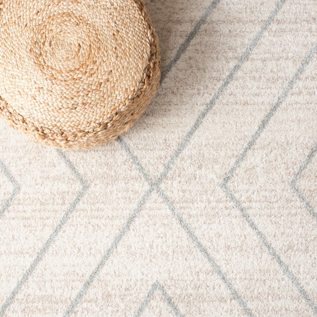 Safavieh Adirondack Adr251C Ivory/Light Grey Rugs.