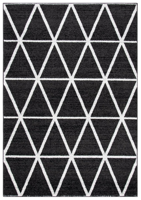 Safavieh Adirondack Adr262G Black/Ivory Rugs.