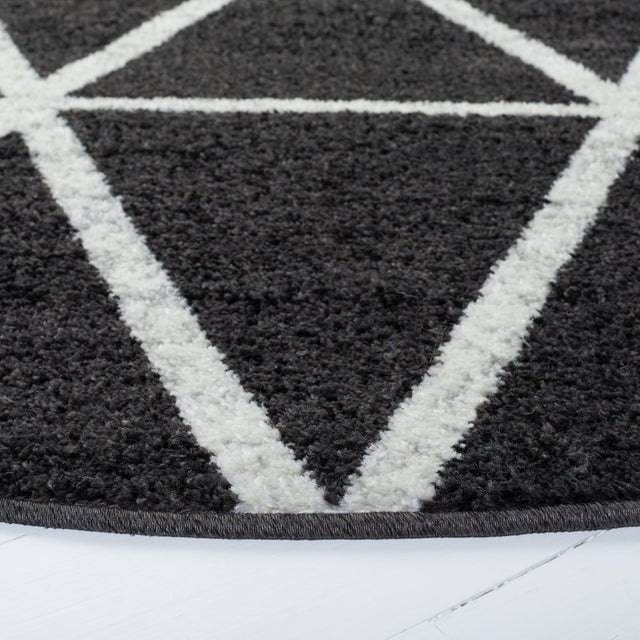 Safavieh Adirondack Adr262G Black/Ivory Rugs.