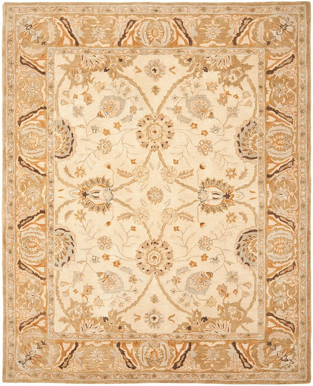 Safavieh Anatolia An558B Silver / Light Brown Rugs.