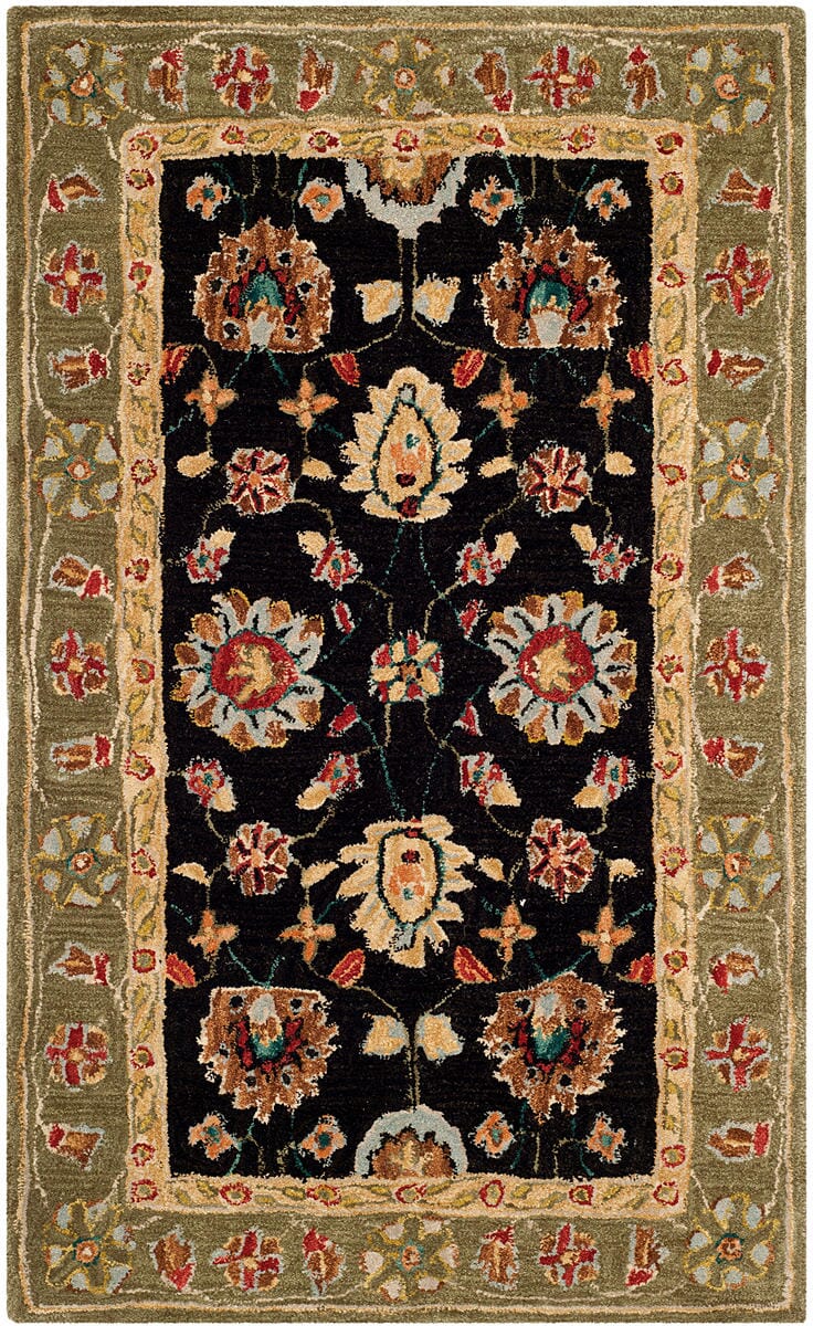 Safavieh Anatolia An561C Black / Green Rugs.