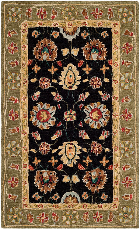 Safavieh Anatolia An561C Black / Green Rugs.
