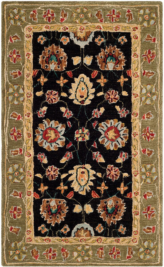 Safavieh Anatolia An561C Black / Green Rugs.