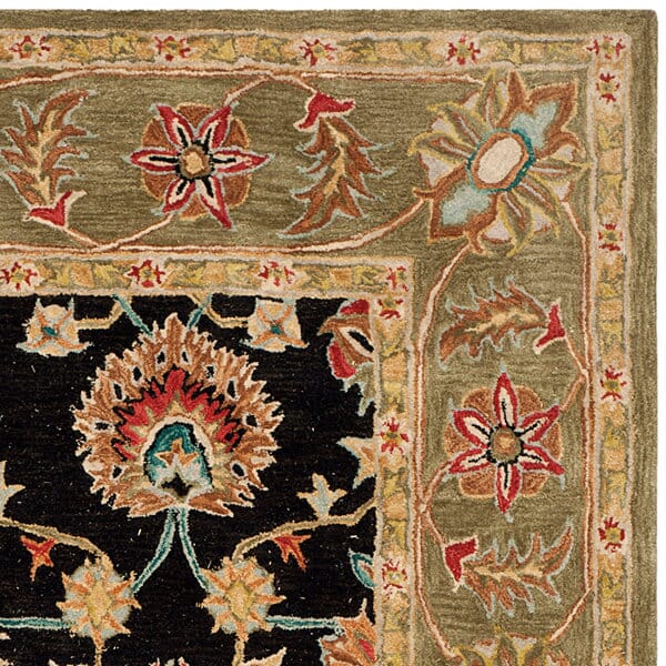 Safavieh Anatolia An561C Black / Green Rugs.