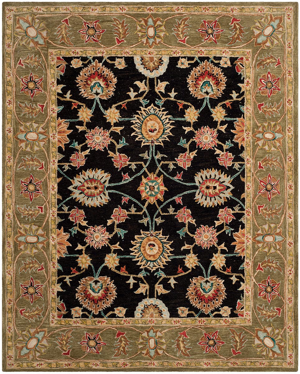 Safavieh Anatolia An561C Black / Green Rugs.