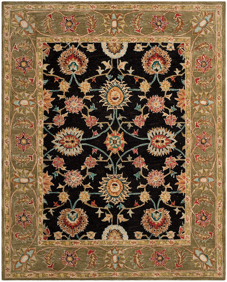 Safavieh Anatolia An561C Black / Green Rugs.
