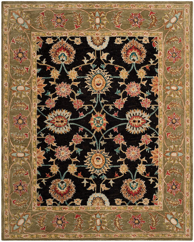 Safavieh Anatolia An561C Black / Green Rugs.