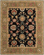 Safavieh Anatolia An561C Black / Green Rugs.