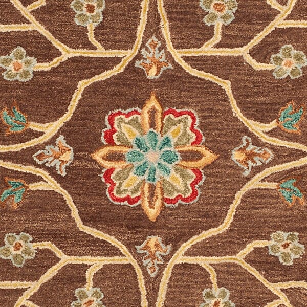 Safavieh Anatolia An562A Brown / Gold Rugs.