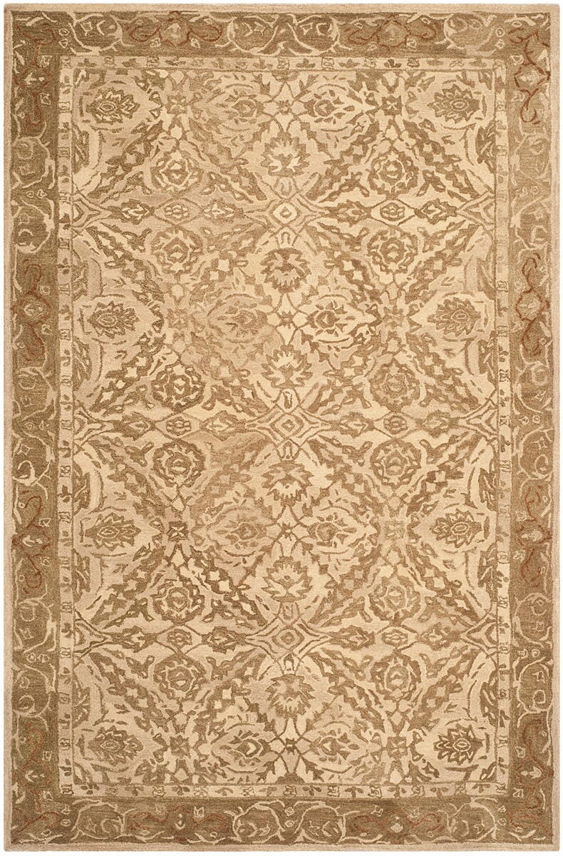 Safavieh Anatolia An583C Ivory / Grey Rugs.