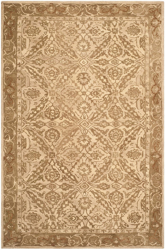 Safavieh Anatolia An583C Ivory / Grey Rugs.