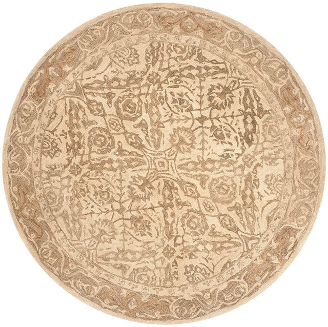 Safavieh Anatolia An583C Ivory / Grey Rugs.