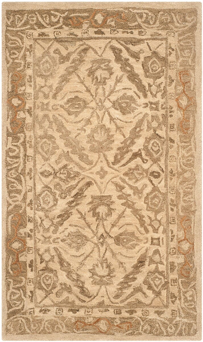 Safavieh Anatolia An583C Ivory / Grey Rugs.