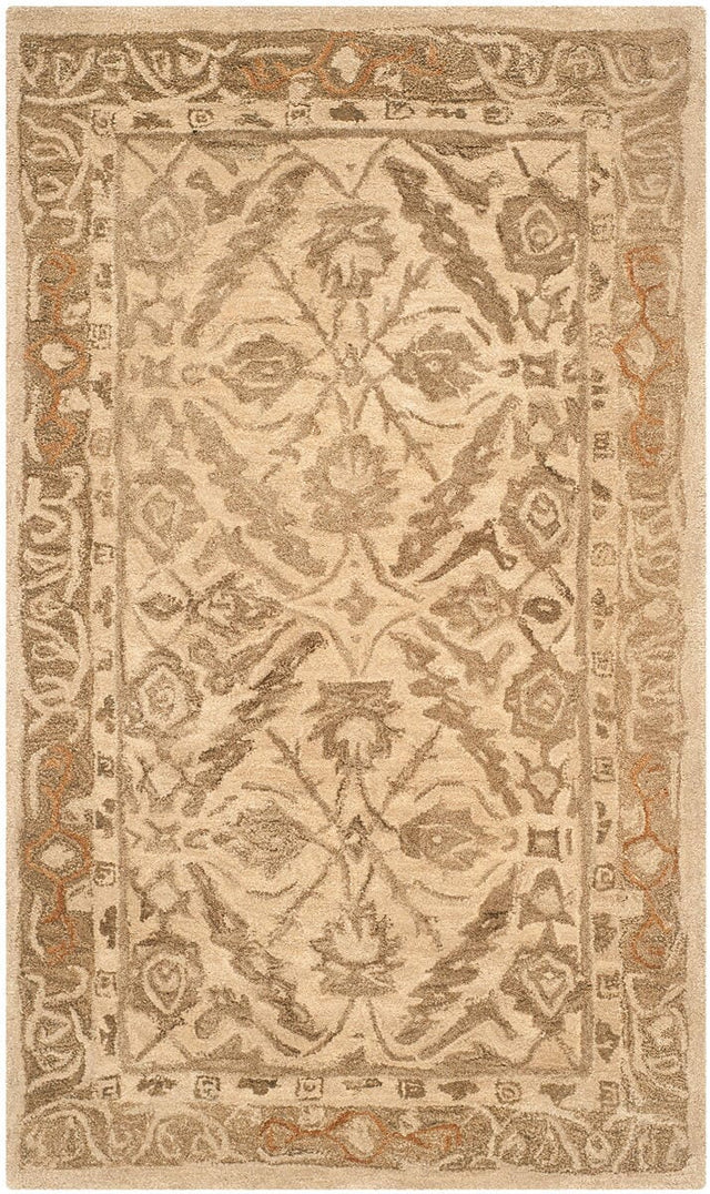Safavieh Anatolia An583C Ivory / Grey Rugs.
