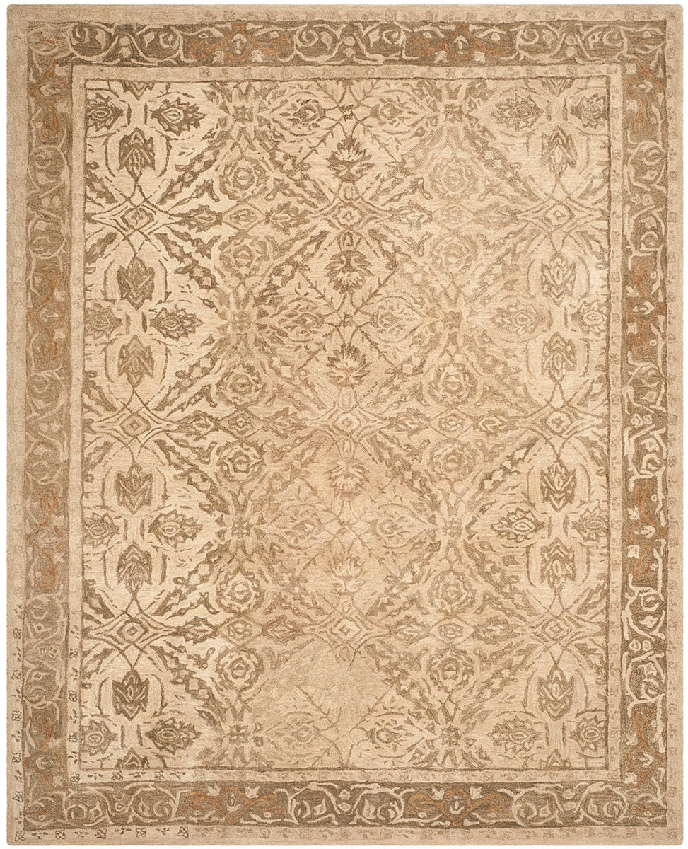 Safavieh Anatolia An583C Ivory / Grey Rugs.
