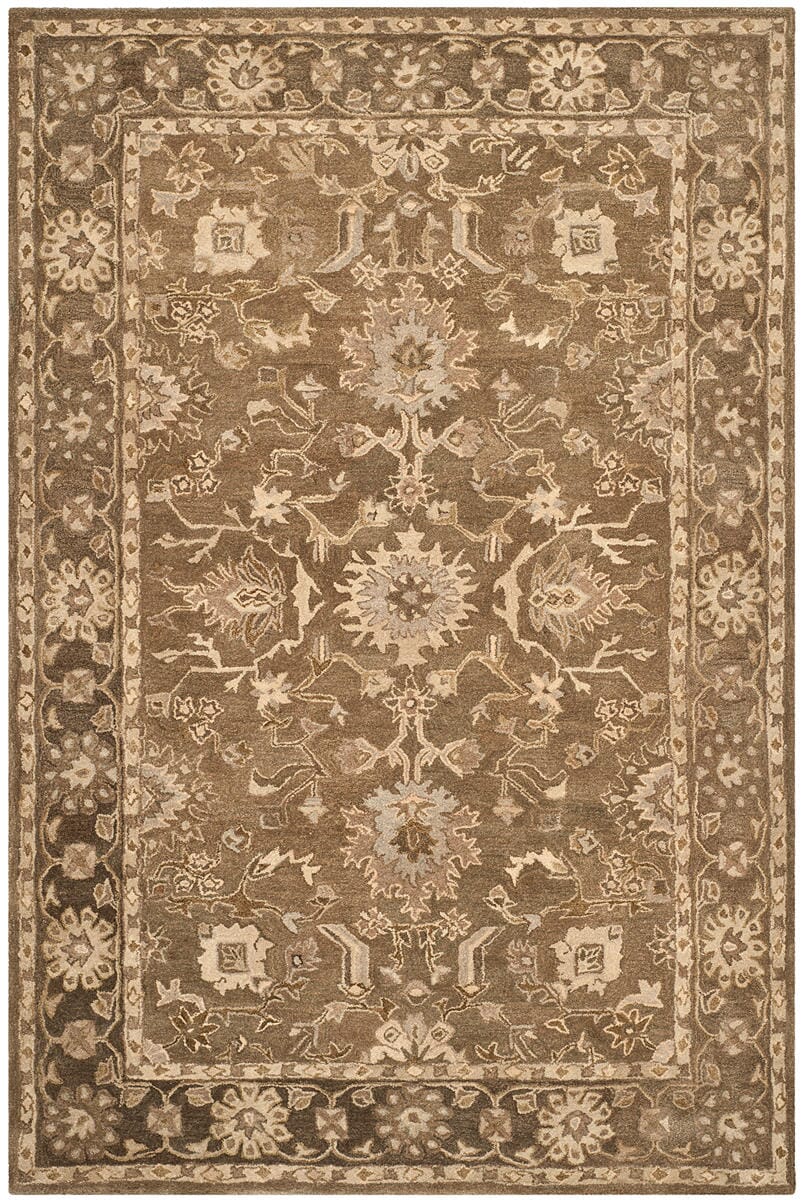 Safavieh Anatolia An585G Grey / Dark Grey Rugs.