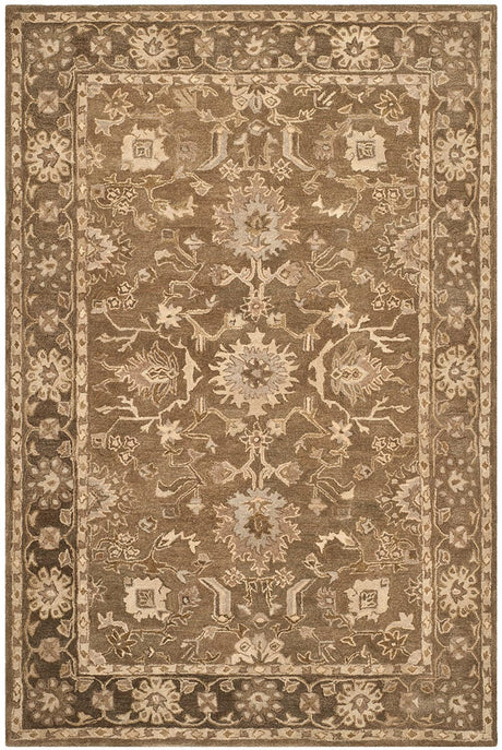 Safavieh Anatolia An585G Grey / Dark Grey Rugs.