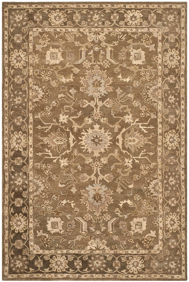 Safavieh Anatolia An585G Grey / Dark Grey Rugs.