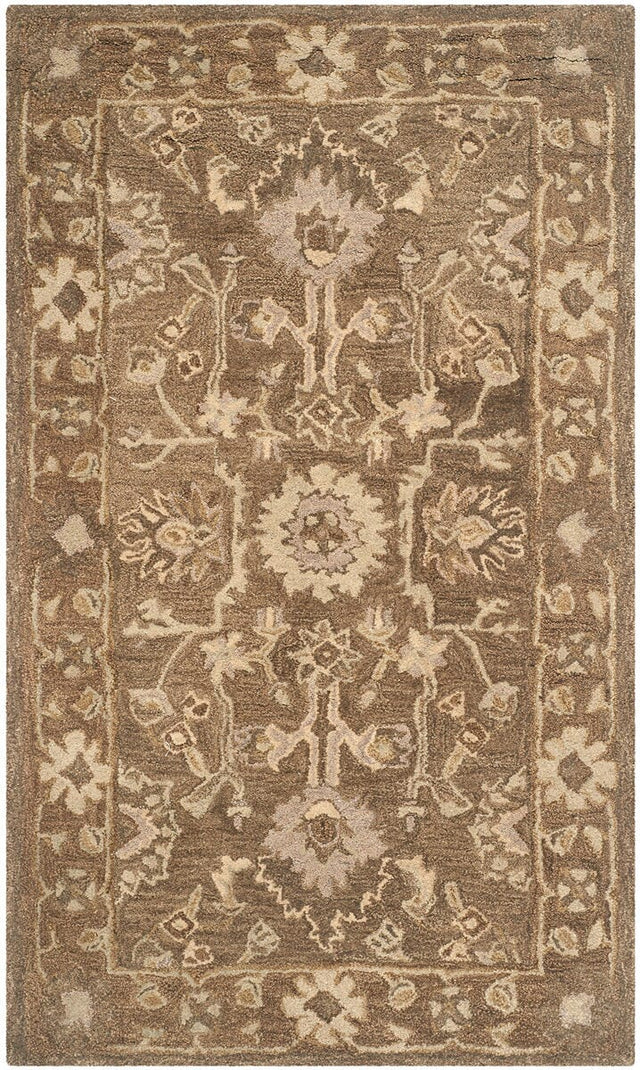 Safavieh Anatolia An585G Grey / Dark Grey Rugs.