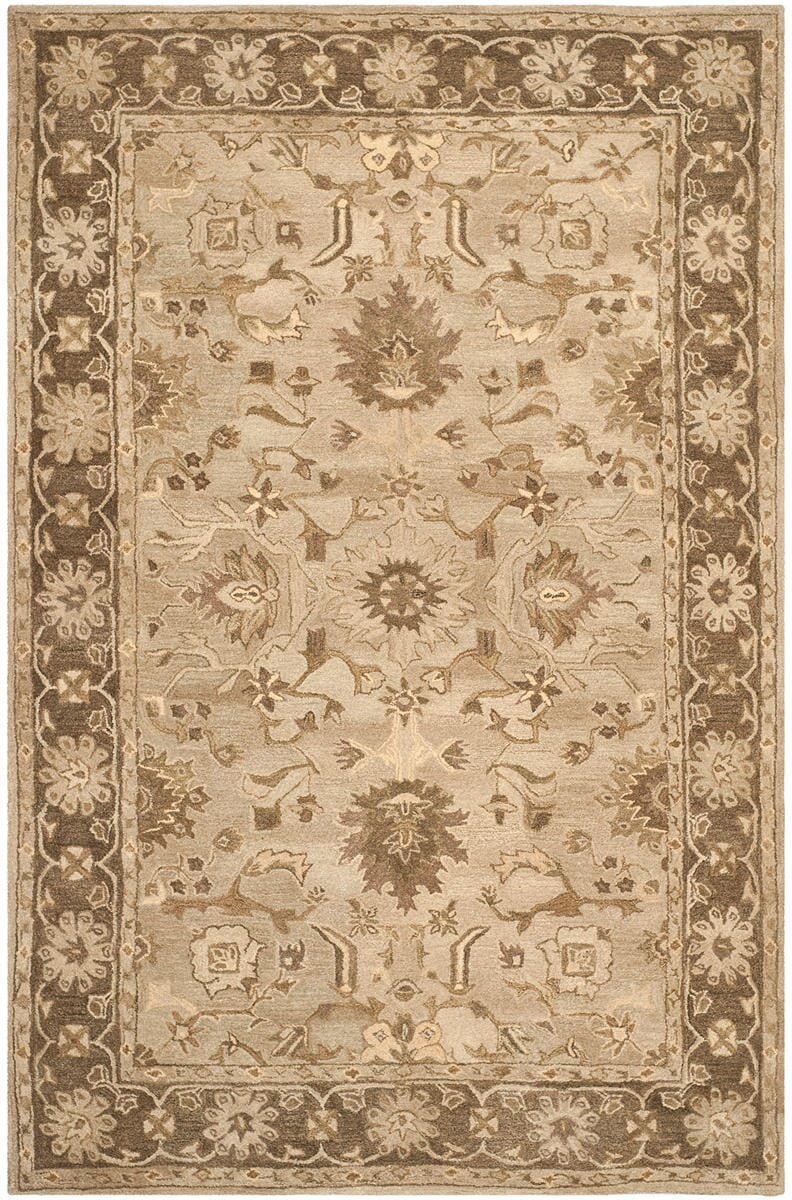 Safavieh Anatolia An585H Light Grey / Dark Brown Rugs.