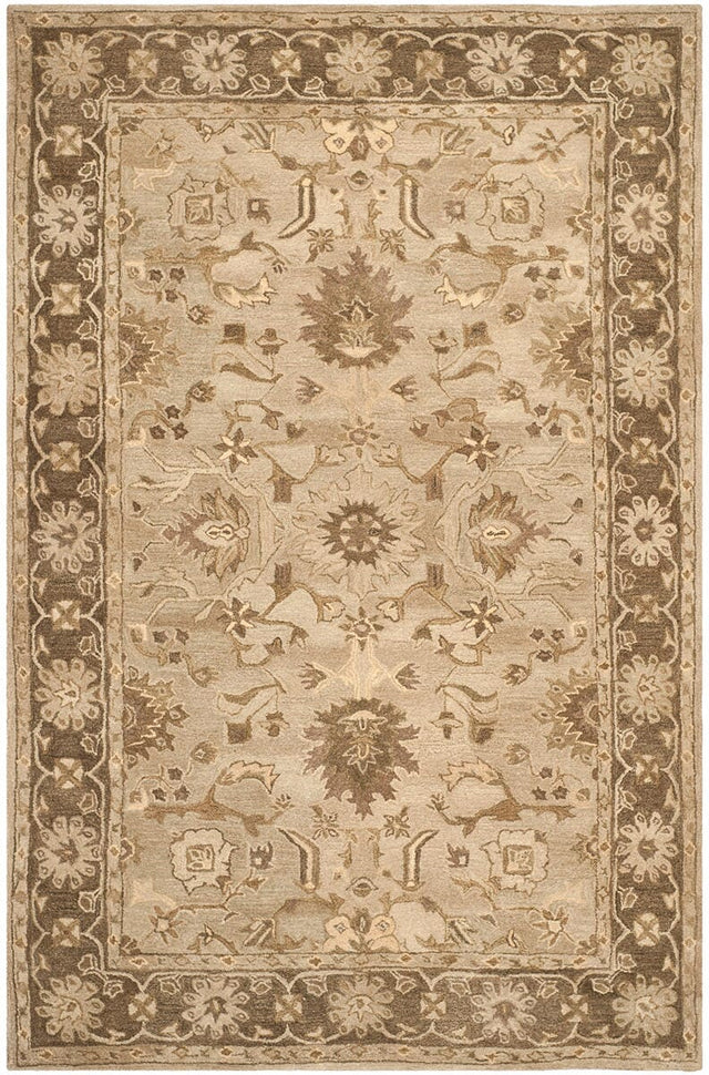 Safavieh Anatolia An585H Light Grey / Dark Brown Rugs.