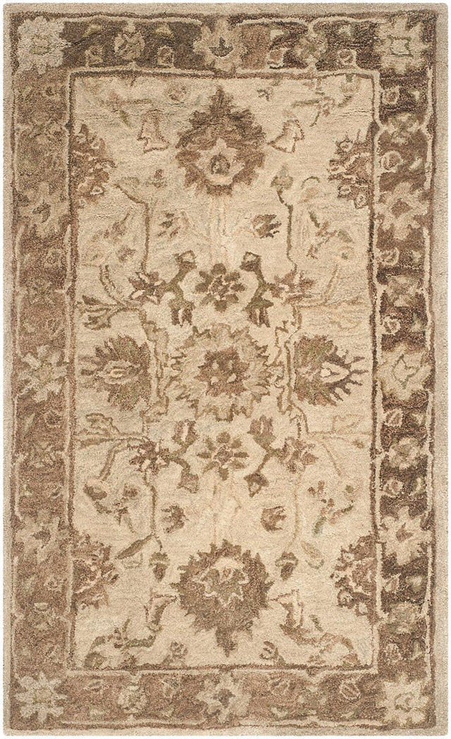Safavieh Anatolia An585H Light Grey / Dark Brown Rugs.