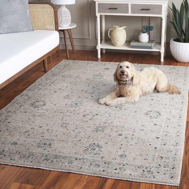 Safavieh Antique Patina Anp656A Ivory/Blue Rug.