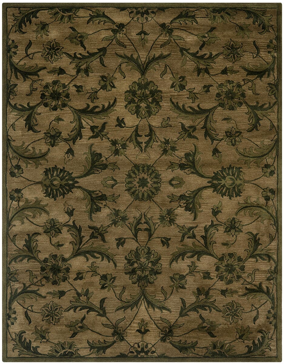 Safavieh Antiquities At824A Olive / Green Rugs.