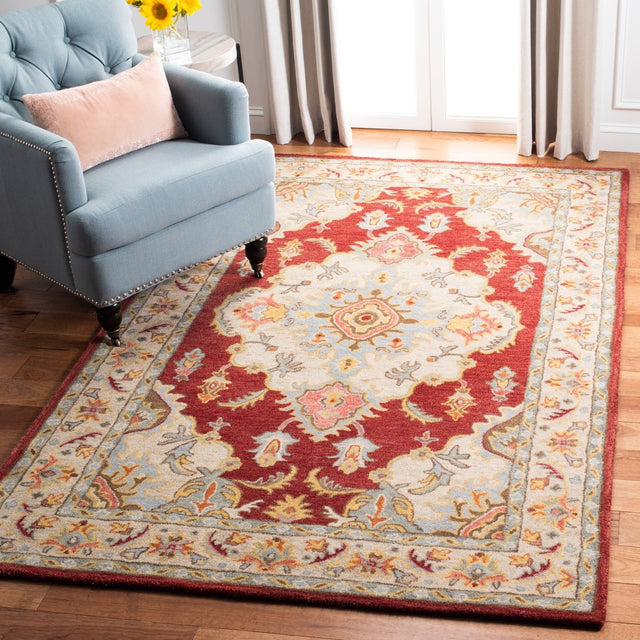 Safavieh Antiquity At520Q Red/Grey Rugs.