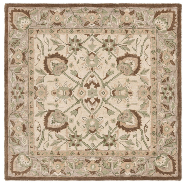 Safavieh Antiquity At65B Ivory/Beige Rug.