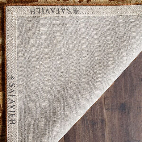Safavieh Antiquity At840B Brown / Beige Rugs.