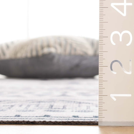 Safavieh Arizona Arz104B Beige/Charcoal Rug.