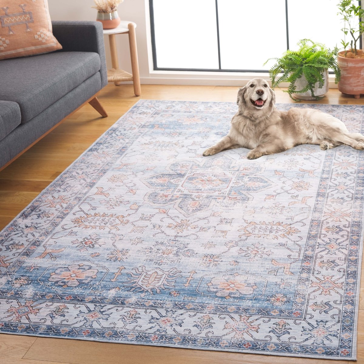 Safavieh Arizona Arz128F Ivory/Light Blue Rug.