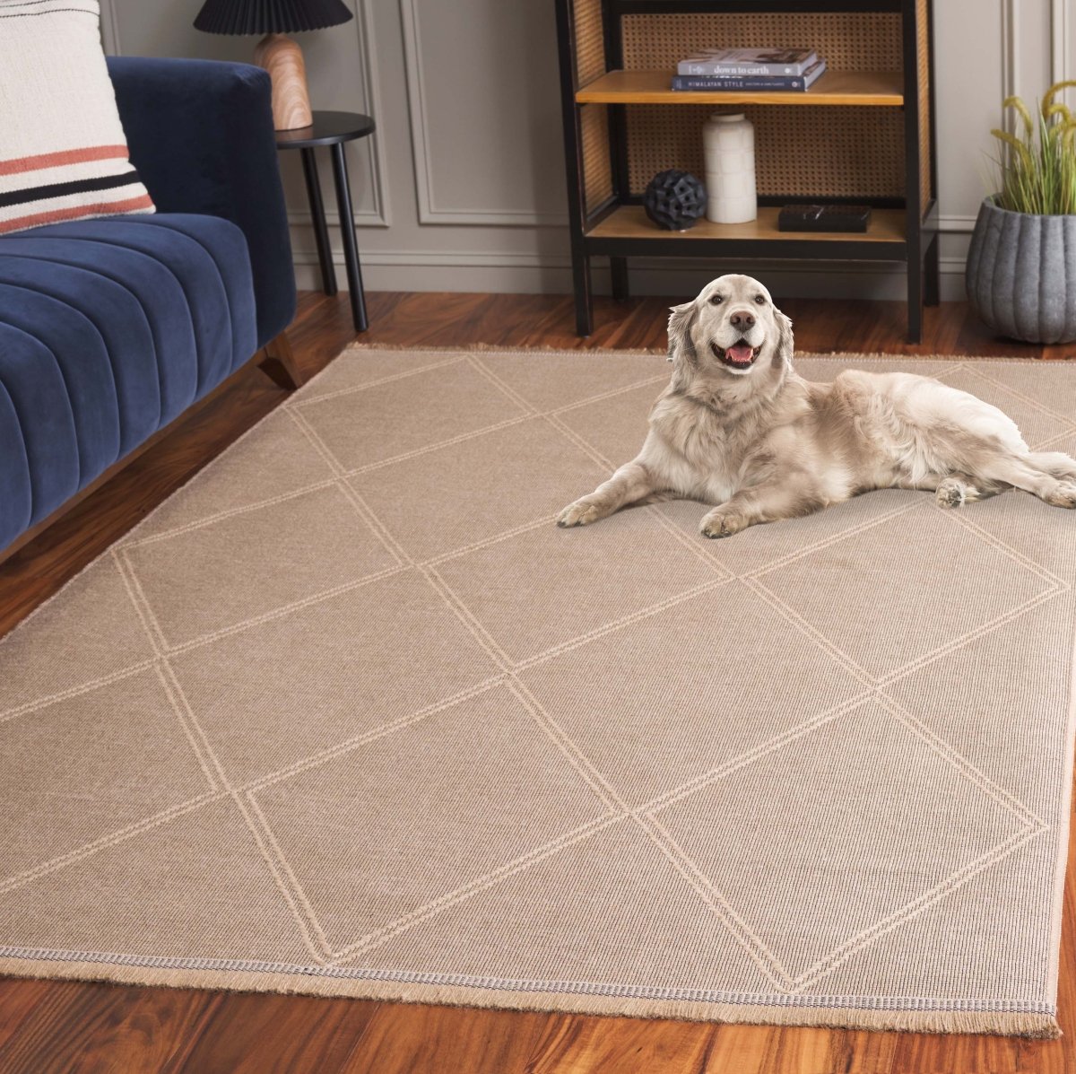 Safavieh Aspect Ape406B Natural Rug.
