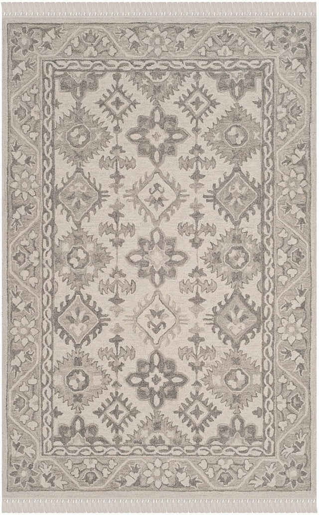 Safavieh Aspen Apn120A Light Grey/Grey Rug.