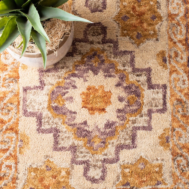 Safavieh Aspen Apn127T Brown/Purple Rugs.