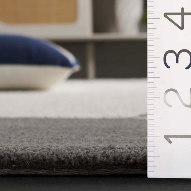 Safavieh Audrey Aud108F Grey/Ivory Rug.