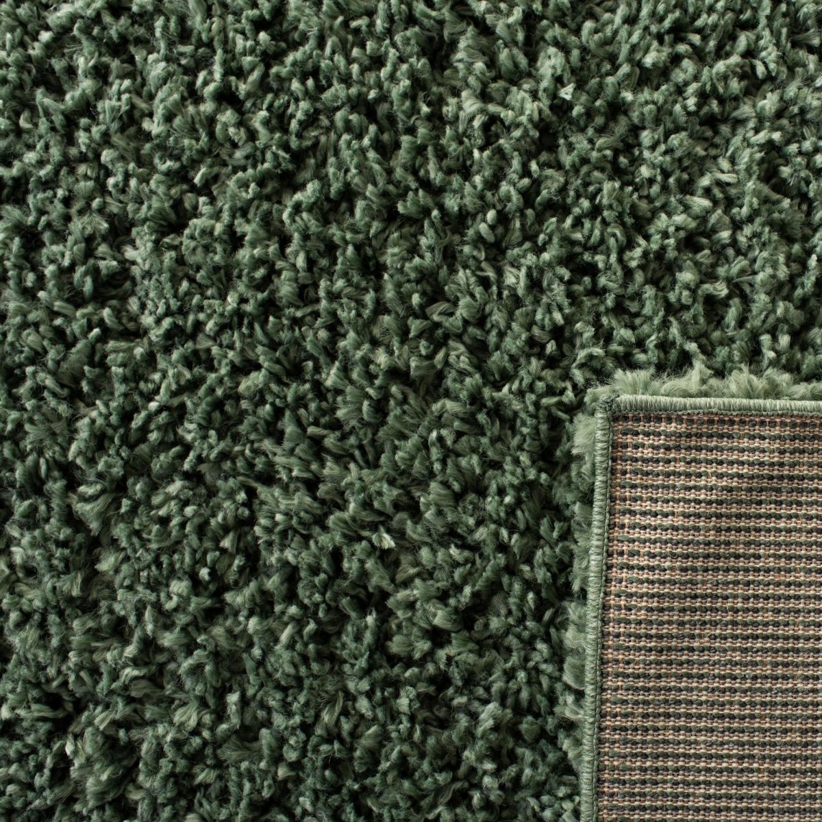 Safavieh August Shag Aug200Y Green Rug.