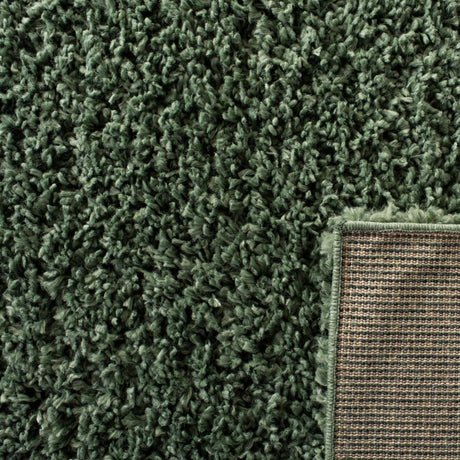 Safavieh August Shag Aug200Y Green Rug.