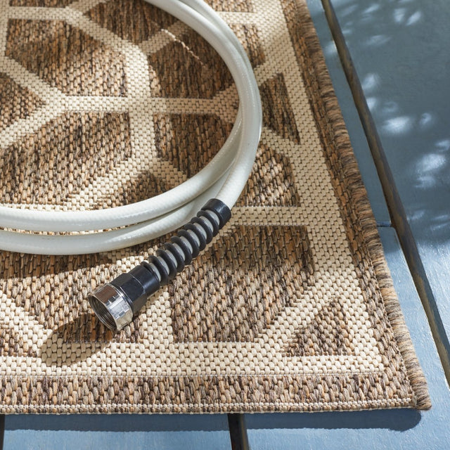 Safavieh Beach House Bhs127D Beige/Cream Rugs.