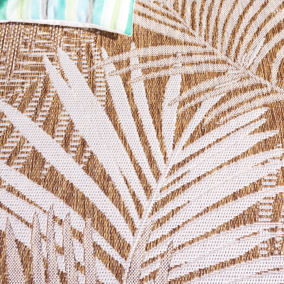 Safavieh Beach House Bhs264T Brown/Ivory Rug.