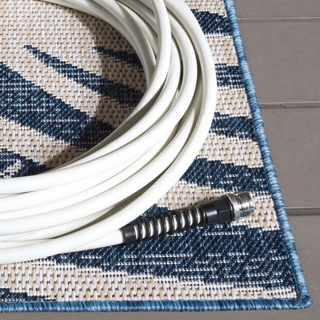 Safavieh Beach House Bhs294M Blue/Ivory Rug.