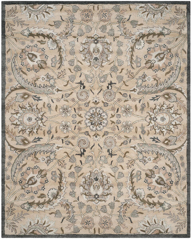 Safavieh Bella Bel923A Beige / Multi Rugs.