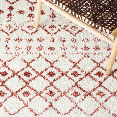 Safavieh Berber Fringe Shag Bfg516P Ivory/Rust Rug.