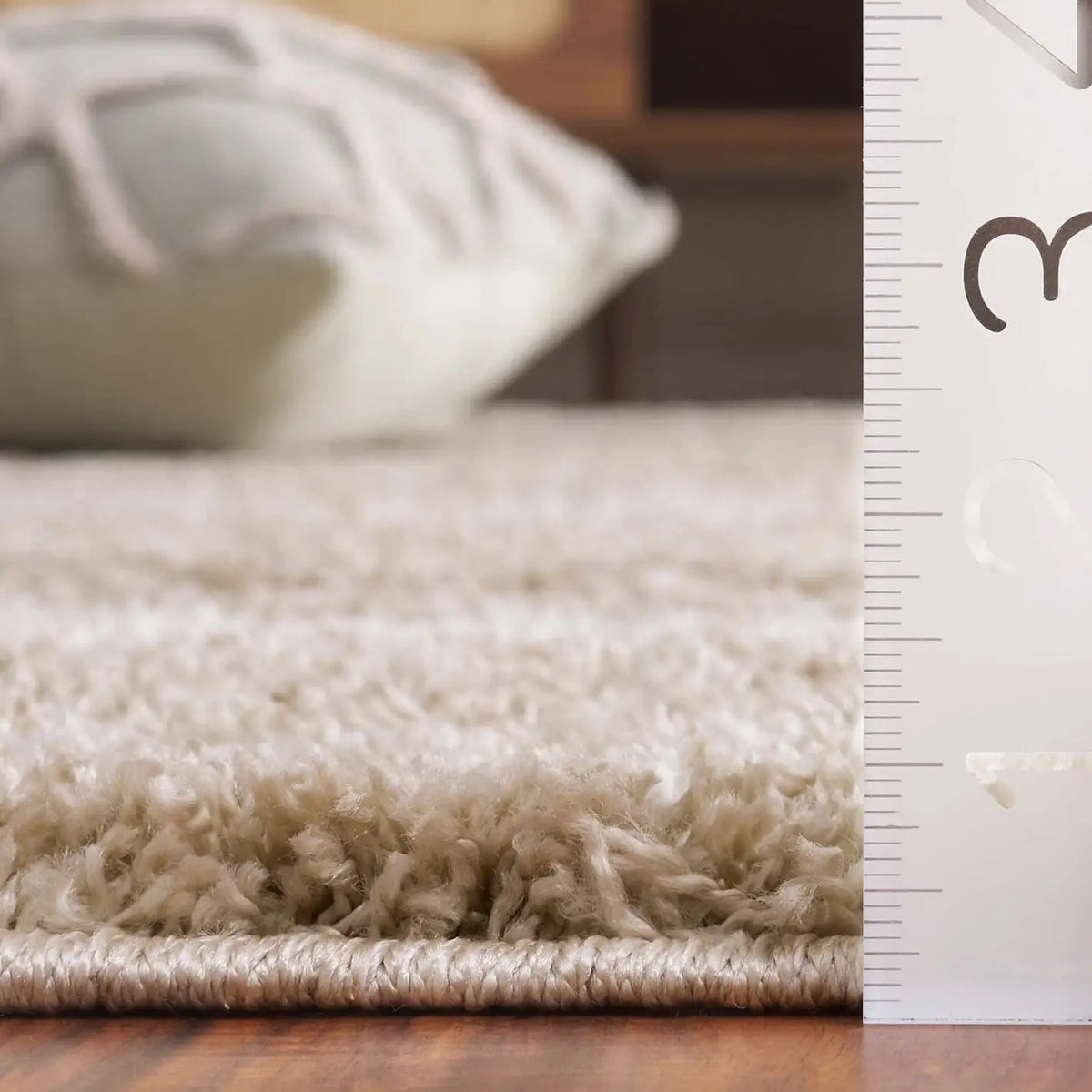 Safavieh Border & Stripe Shag 200 4'-5" x 6'-5" Rug in Beige / Ivory