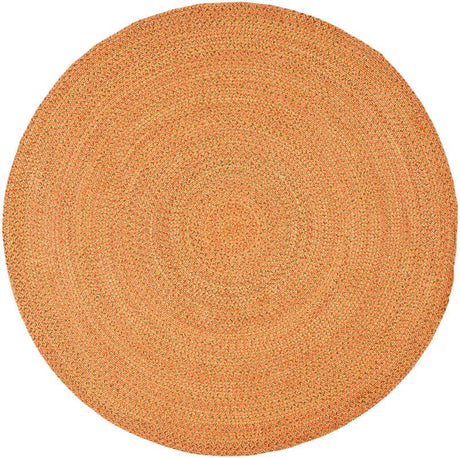 Safavieh Braided Brd166A Multi Rug.