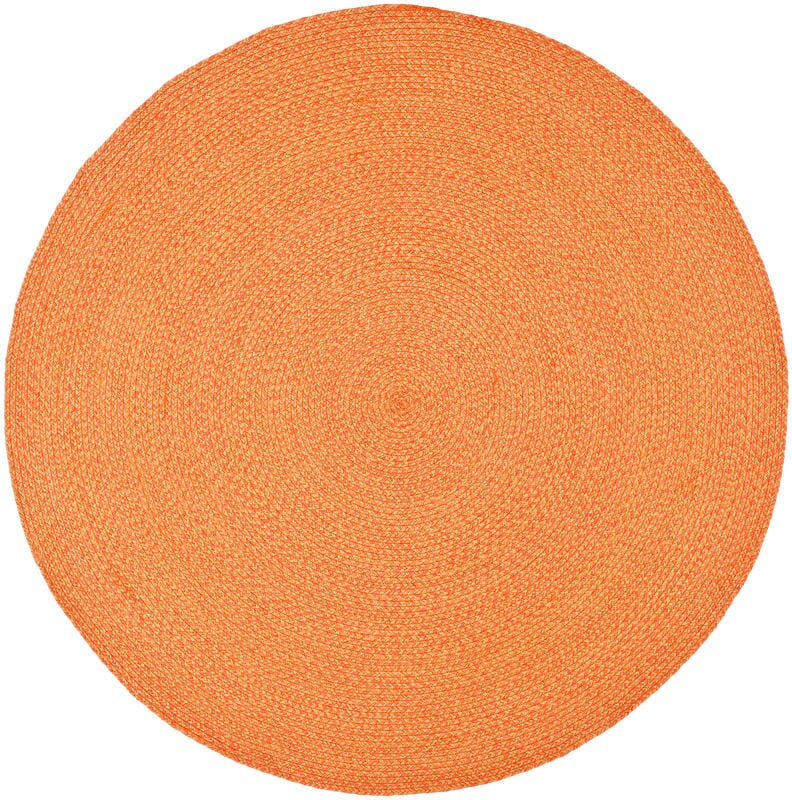 Safavieh Braided Brd168A Multi Rugs.