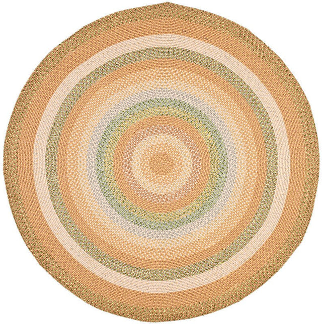 Safavieh Braided Brd314A Tan / Multi Rugs.