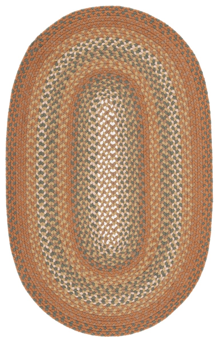 Safavieh Braided Brd651A Ivory/Brown Rug.